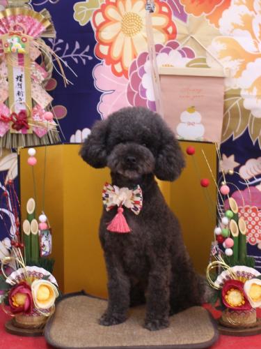 20240131ボーロくん